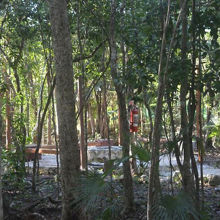 Glamping Mayan Glam 툴룸 외부 사진