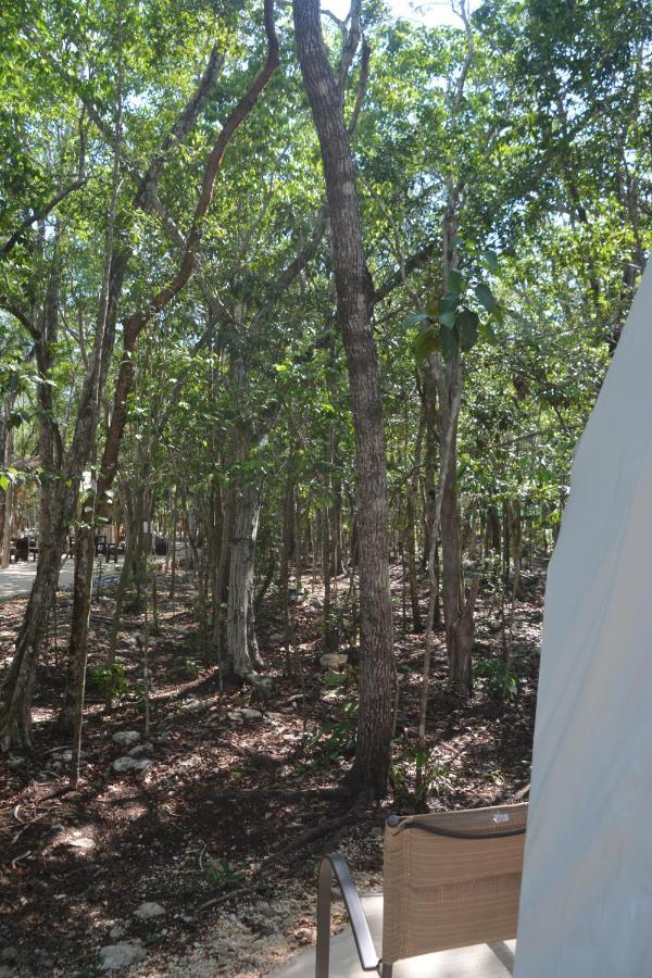 Glamping Mayan Glam 툴룸 외부 사진