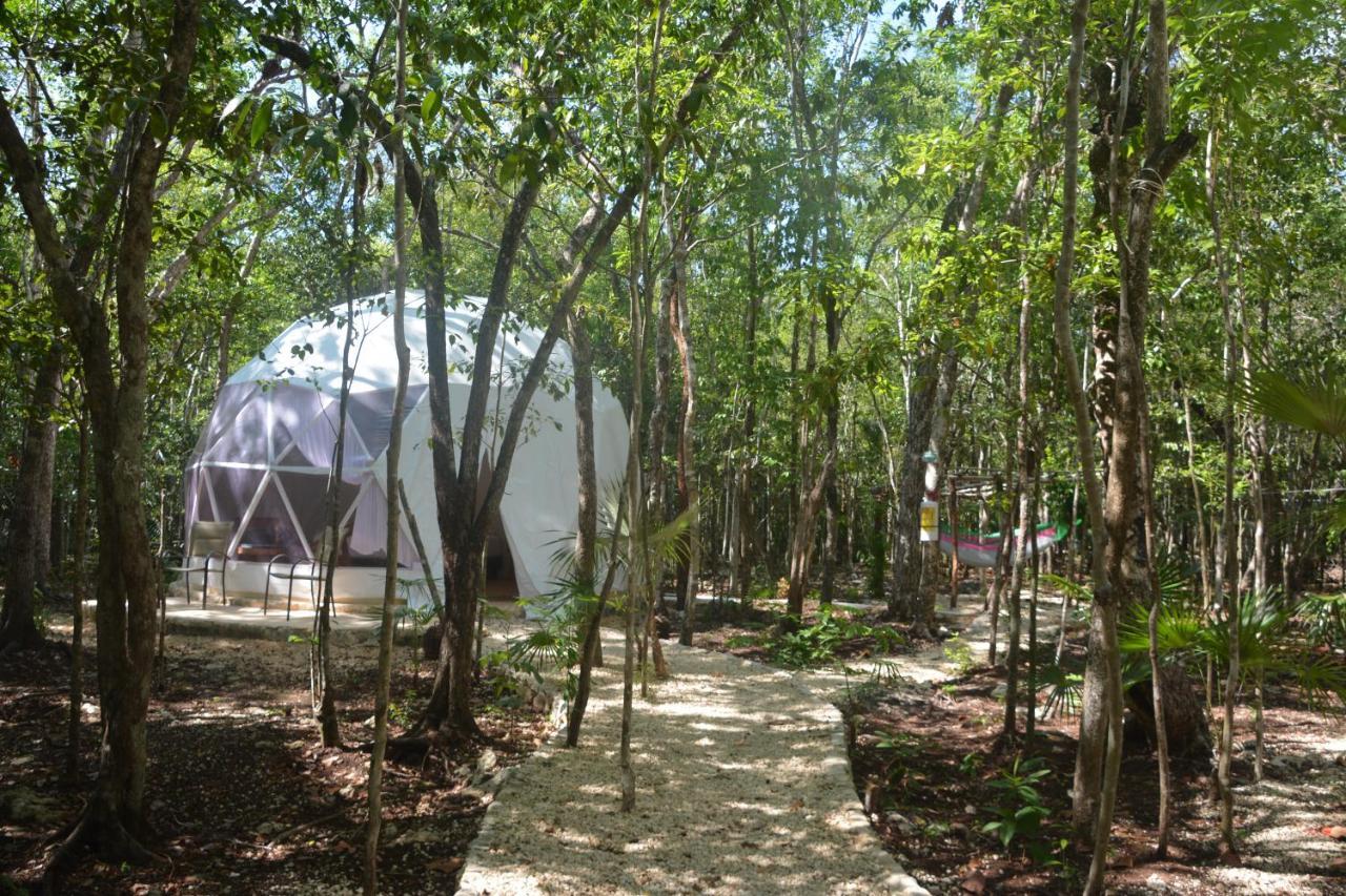 Glamping Mayan Glam 툴룸 외부 사진