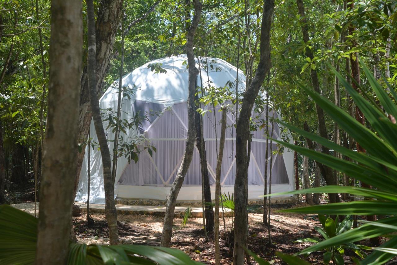 Glamping Mayan Glam 툴룸 외부 사진