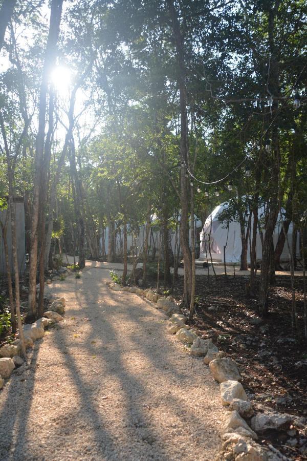 Glamping Mayan Glam 툴룸 외부 사진