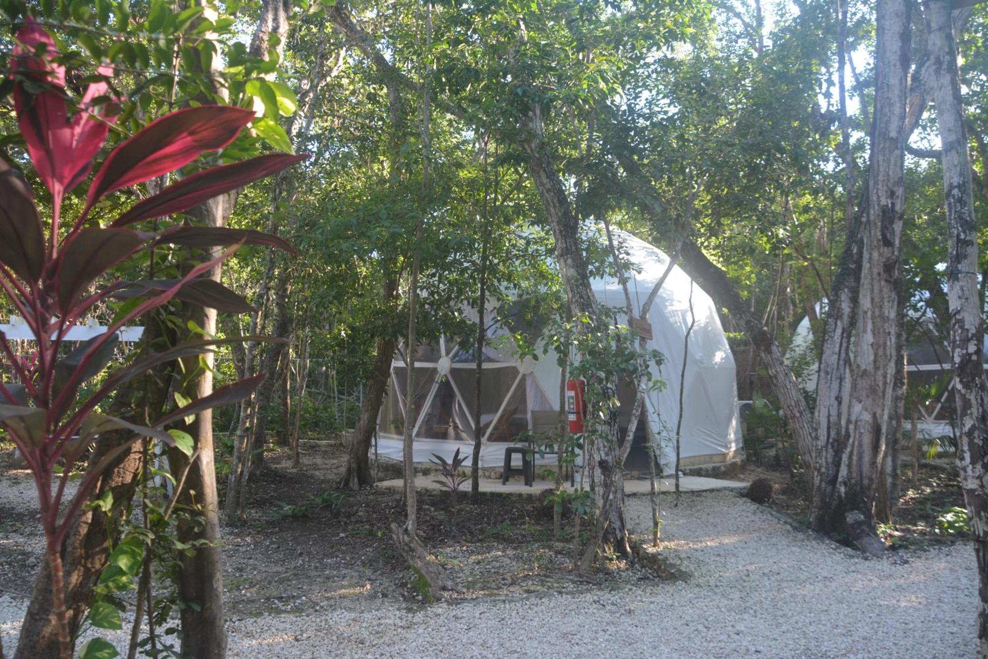 Glamping Mayan Glam 툴룸 외부 사진